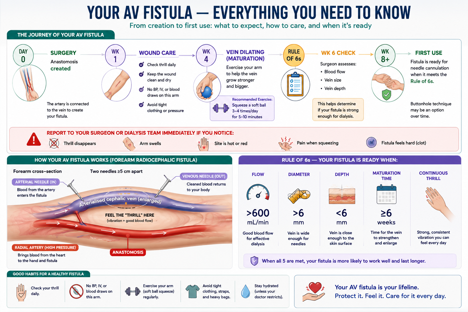 Your AV Fistula — journey from surgery to first use, anatomy, Rule of 6s, and good habits