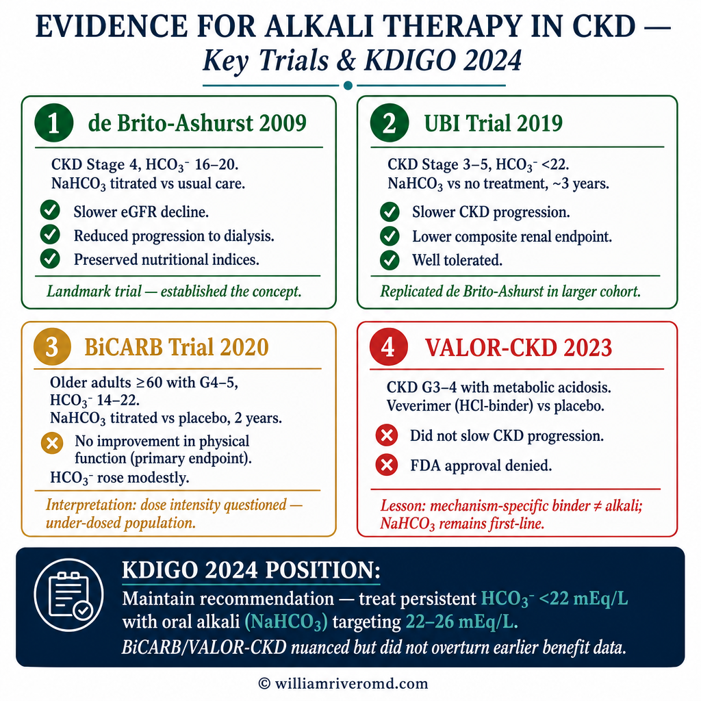 Evidence Base for Bicarbonate Therapy in CKD — clinical trial summary