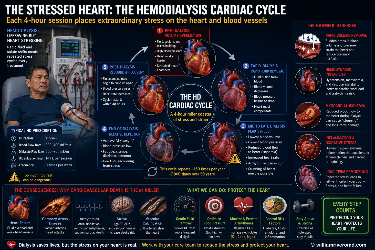 How Each Dialysis Session Stresses the Heart — HD cardiac cycle, by W Rivero, MD