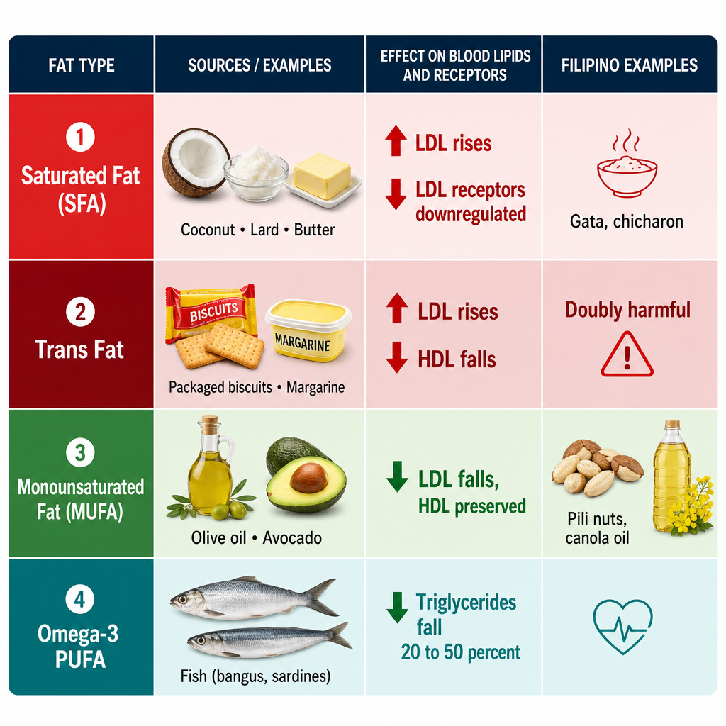 Comparison table of four dietary fat types and their effects on LDL and HDL cholesterol