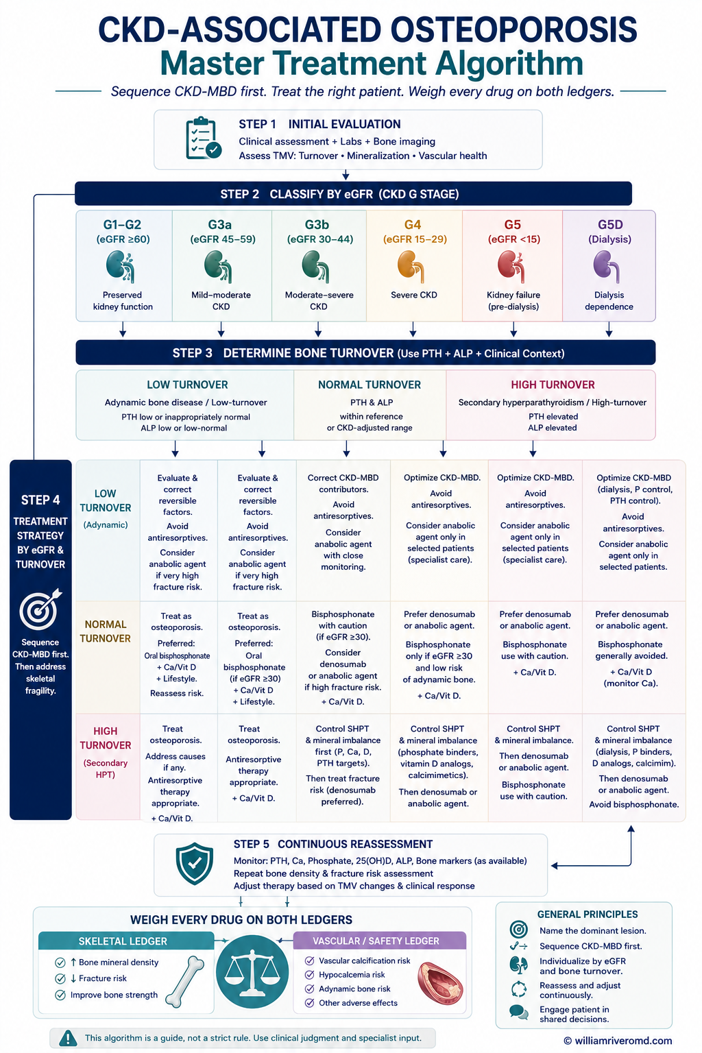 Figure 5 — master treatment decision tree. Top entry: CKD G1–G5D + fragility / fracture risk. Branch 1 by eGFR (G1–G3a, G3b, G4–G5, G5D). Branch 2 by turnover (high / low / mixed). Decision nodes resolve to drug class: bisphosphonate, denosumab + safety bundle, raloxifene, teriparatide/abaloparatide, romosozumab (CV gated). Color logic: navy structure, teal recommended, amber caution, red contraindicated, green optimal pathway. KDIGO 2025 reference at footer.