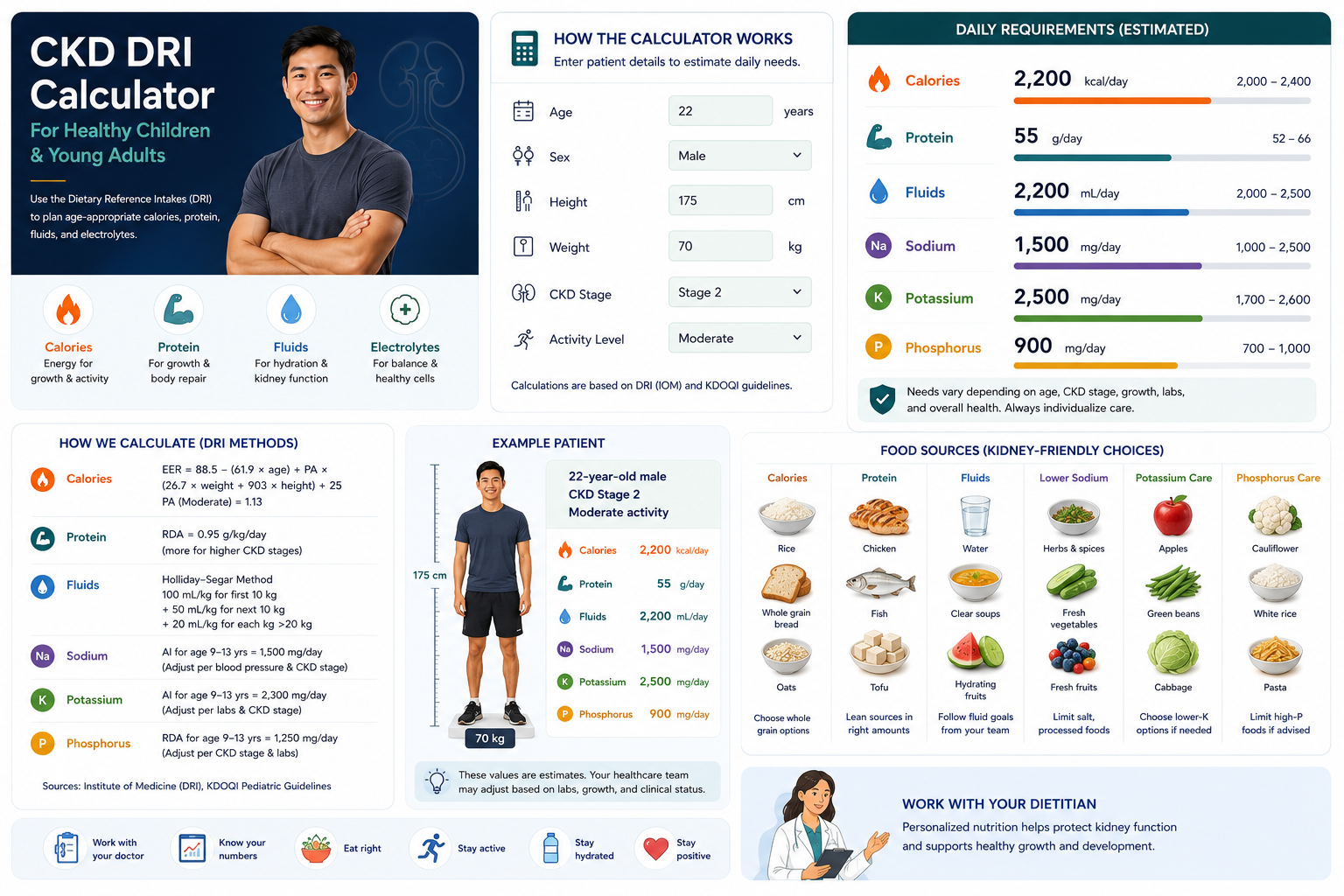 CKD DRI Calculator for children and young adults: shows how the calculator works, an example 12-year-old boy with CKD Stage 2 (1,800 kcal, 40g protein, 1,700mL fluids, 1,500mg sodium, 2,000mg potassium, 800mg phosphorus), DRI calculation methods, and kidney-friendly food sources.