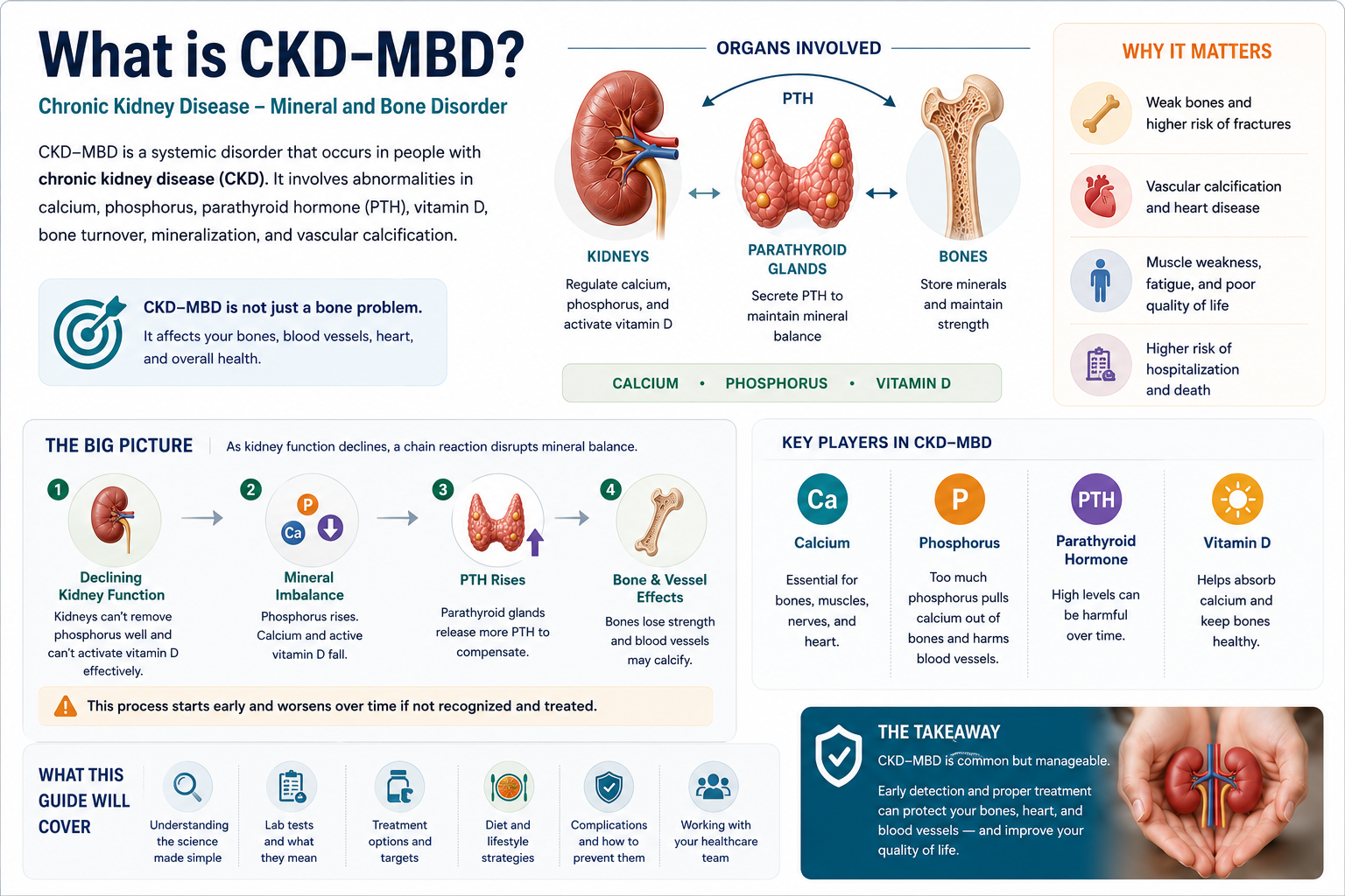 What is CKD-MBD? — organs involved (kidneys, parathyroid, bones), calcium-phosphorus-PTH cascade, why it matters, and key players