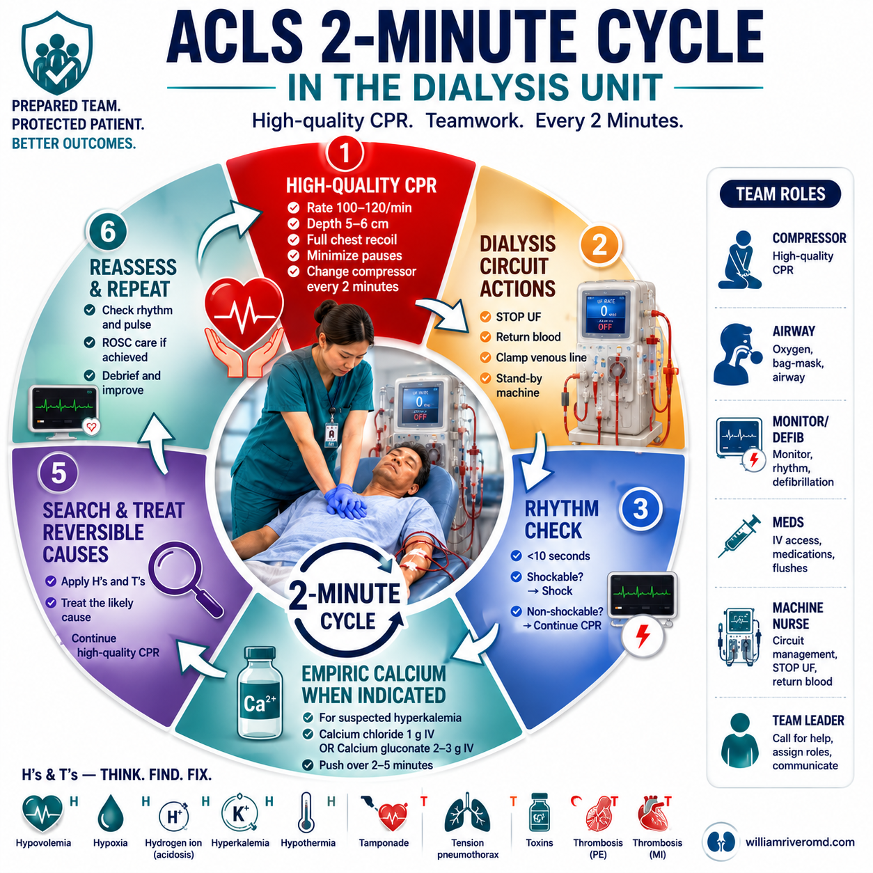 Circular ACLS two-minute cycle — CPR, rhythm and pulse check, shock if shockable, give drug and swap compressor, reassess reversible causes including hyperkalemia