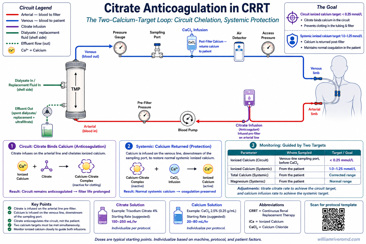 The citrate loop drawn as a vertical hemofilter with the arterial (red) line entering the bottom port after citrate infusion and the blood pump, and the venous (blue) line exiting the top port straight into a pressure gauge, then passing the sampling port, CaCl2 infusion, air detector, and access pressure gauge before returning to the patient. Citrate binds ionized calcium in the circuit to anticoagulate it; a separate CaCl2 infusion downstream of the sampling port restores normal systemic calcium.
