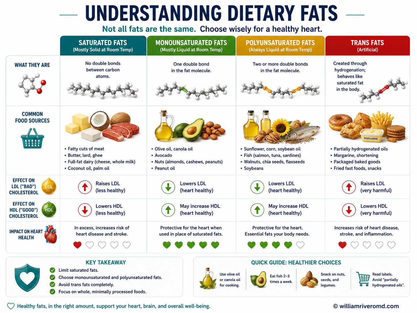 Not all fats are equal: how trans fats, saturated fats, monounsaturated fats, and polyunsaturated fats each affect LDL and HDL, with Filipino-relevant food sources.