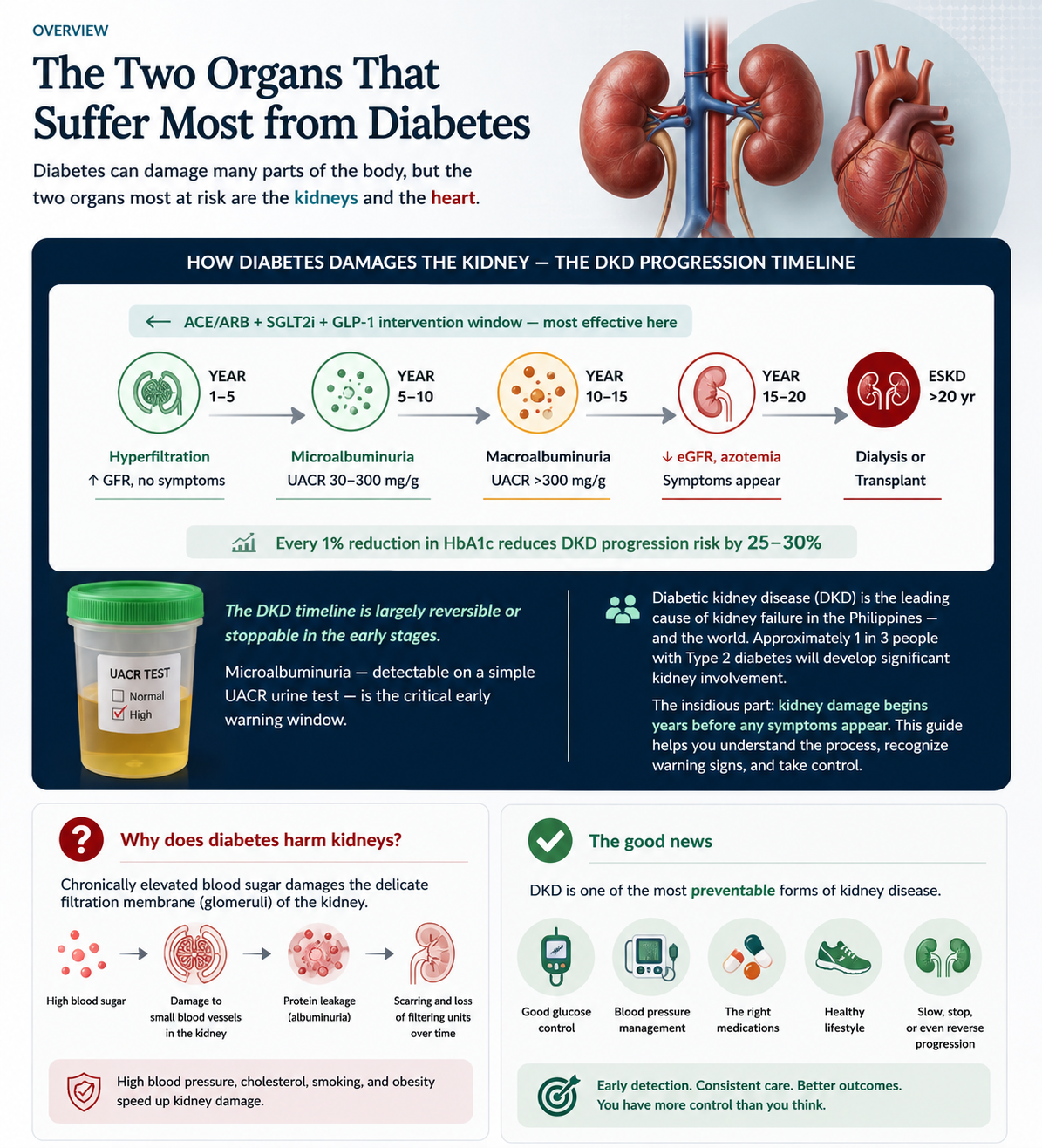 Infographic: Lifestyle Strategies That Protect Kidneys — 6 strategies (carb quality, protein, sodium, physical activity, weight management, stop smoking) plus kidney-friendly Filipino foods for diabetics