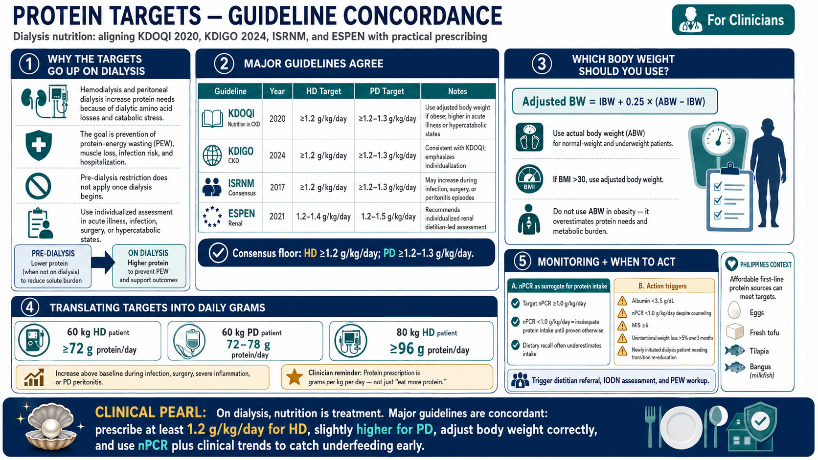 Protein targets for hemodialysis and peritoneal dialysis — KDOQI 2020, KDIGO 2024, ESPEN 2021 guideline concordance and nPCR interpretation