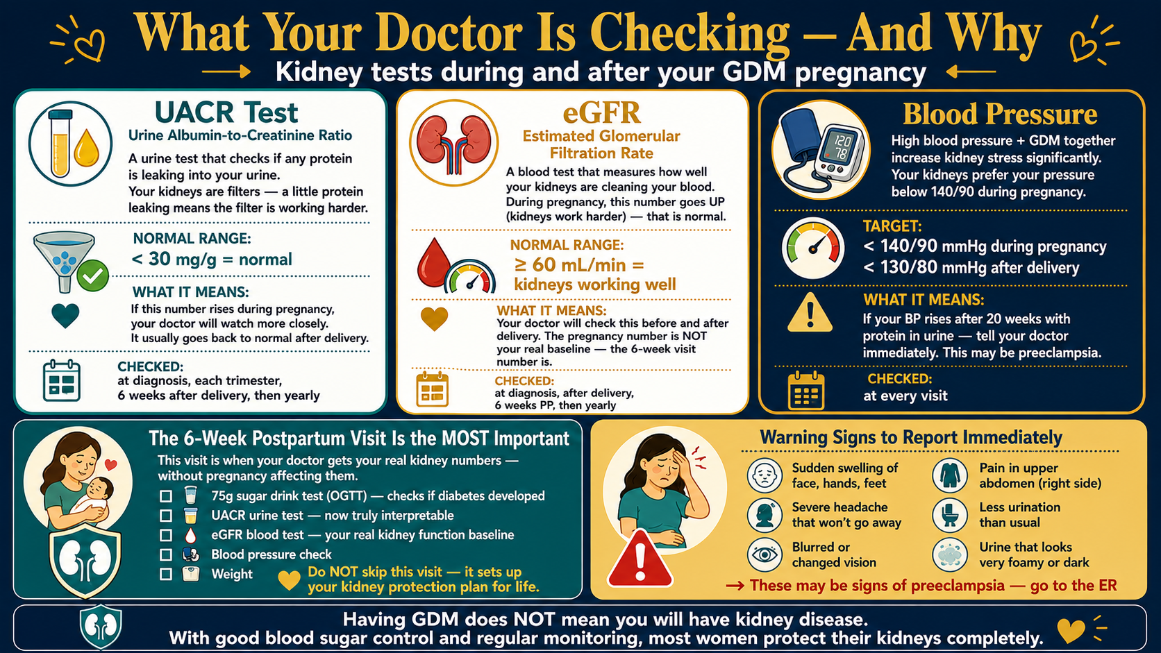 What Your Doctor Is Checking — And Why. Kidney tests during and after your GDM pregnancy. Three cards: UACR Test urine albumin-to-creatinine ratio — checks if protein leaking into urine kidneys are filters normal less than 30 mg/g checked at diagnosis each trimester 6 weeks after delivery then yearly. eGFR estimated glomerular filtration rate — blood test measures how well kidneys clean blood during pregnancy number goes UP that is normal normal 60 mL/min or more the pregnancy number is NOT your real baseline the 6-week visit is. Blood Pressure — high BP plus GDM increases kidney stress target less than 140/90 during pregnancy less than 130/80 after delivery if BP rises after 20 weeks with protein in urine tell doctor immediately may be preeclampsia checked every visit. Bottom left 6-week postpartum visit is MOST important — 75g OGTT UACR eGFR BP weight do NOT skip. Bottom right warning signs go to ER: sudden swelling severe headache blurred vision upper abdomen pain less urination foamy dark urine. Footer: having GDM does NOT mean you will have kidney disease with good control most women protect their kidneys completely.