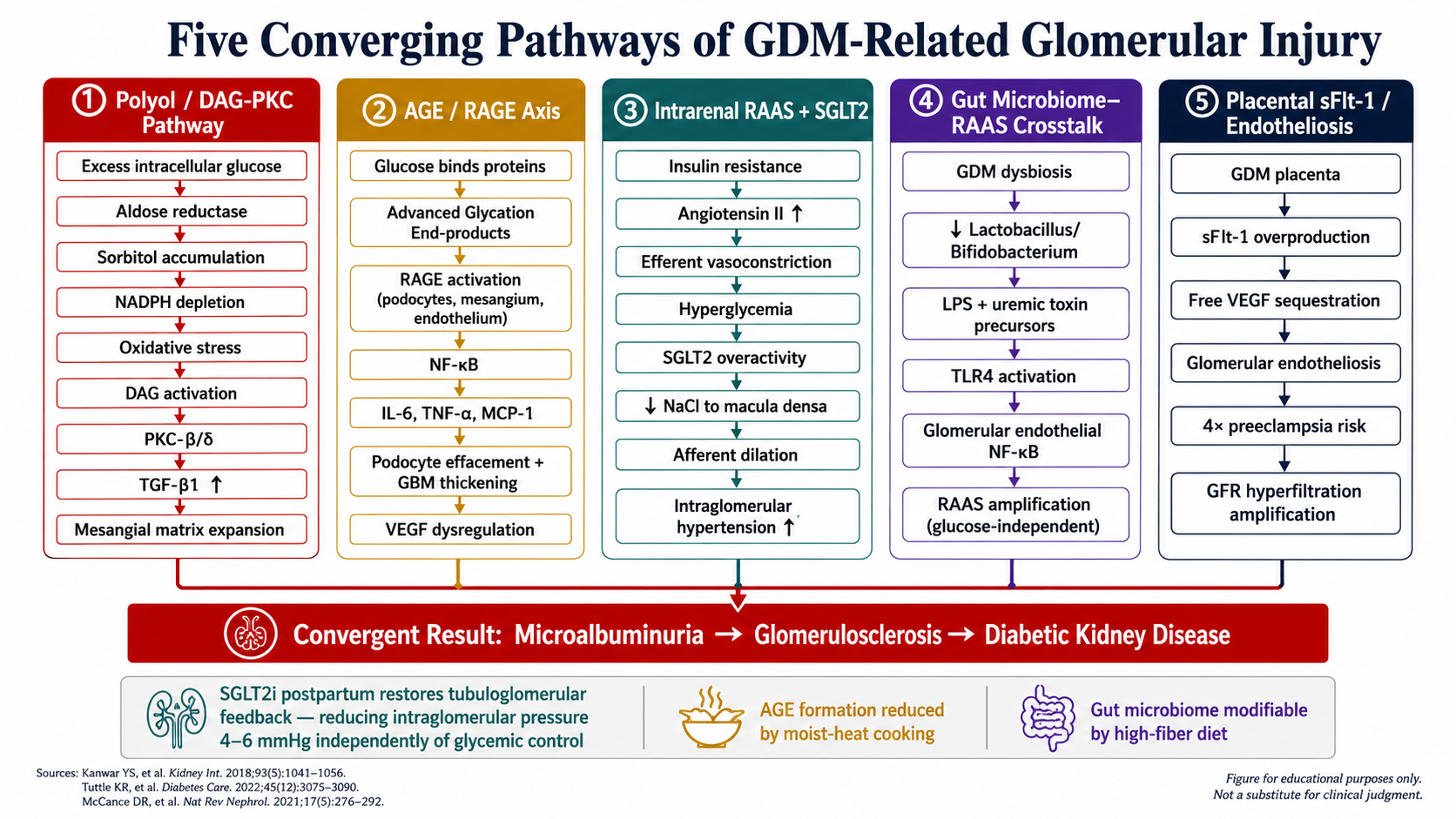 Five Converging Pathways of GDM-Related Glomerular Injury. Pathway 1 Polyol/DAG-PKC: excess intracellular glucose to aldose reductase to sorbitol to NADPH depletion to oxidative stress to DAG activation to PKC-β/δ to TGF-β1 to mesangial matrix expansion. Pathway 2 AGE/RAGE axis: glucose binds proteins to advanced glycation end-products to RAGE activation to NF-κB to IL-6 TNF-α MCP-1 to podocyte effacement GBM thickening to VEGF dysregulation. Pathway 3 Intrarenal RAAS plus SGLT2: insulin resistance to angiotensin II to efferent vasoconstriction and hyperglycemia to SGLT2 overactivity to reduced NaCl to macula densa to afferent dilation to intraglomerular hypertension. Pathway 4 Gut microbiome-RAAS crosstalk: GDM dysbiosis to reduced Lactobacillus/Bifidobacterium to LPS uremic toxins to TLR4 to glomerular NF-κB to RAAS amplification. Pathway 5 Placental sFlt-1: GDM placenta to sFlt-1 overproduction to free VEGF sequestration to glomerular endotheliosis to 4x preeclampsia risk. All converge: Microalbuminuria to Glomerulosclerosis to Diabetic Kidney Disease.