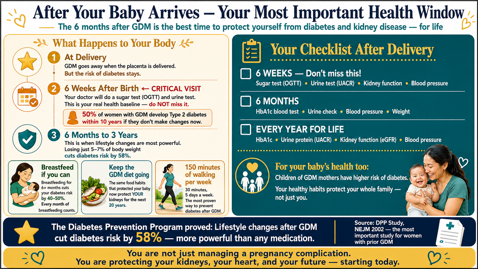 After Your Baby Arrives — Your Most Important Health Window. The 6 months after GDM is the best time to protect yourself from diabetes and kidney disease for life. Left side The GDM to DKD Pipeline: at delivery GDM goes away but risk stays; 6 weeks after birth CRITICAL — 50% of women with GDM develop Type 2 diabetes within 10 years; 6 months to 3 years lifestyle changes most powerful 5–7% weight loss cuts diabetes risk 58%. Action boxes: breastfeed 6 plus months cuts diabetes risk 40–50%; keep GDM diet going; 150 minutes walking per week. Right side checklist: 6 weeks OGTT UACR kidney function BP; 6 months HbA1c urine BP weight; every year for life HbA1c UACR eGFR BP. Children of GDM mothers have higher diabetes risk. Bottom: Diabetes Prevention Program — lifestyle changes cut diabetes risk 58% more powerful than any medication. Footer: you are protecting your kidneys your heart and your future starting today.
