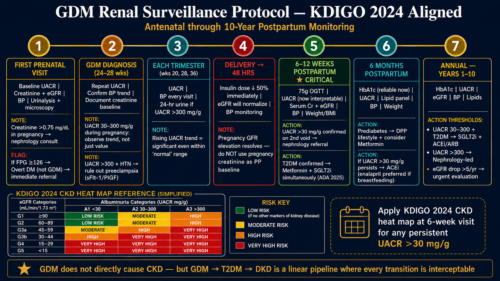 GDM Renal Surveillance Protocol KDIGO 2024 Aligned. Seven-station timeline from first prenatal visit through annual years 1–10 postpartum. Station 1 First prenatal visit: baseline UACR creatinine eGFR BP urinalysis — creatinine above 0.75 in pregnancy warrants nephrology consult. Station 2 GDM diagnosis 24–28 weeks: repeat UACR confirm BP trend. Station 3 Each trimester: UACR BP 24-hr urine if UACR above 300. Station 4 Delivery 48hrs: insulin dose down 50% eGFR normalizes. Station 5 6–12 weeks postpartum CRITICAL: 75g OGTT UACR now interpretable serum Cr eGFR — T2DM confirmed start Metformin plus SGLT2i. Station 6 6 months: HbA1c reliable lipid panel. Station 7 Annual years 1–10: HbA1c UACR eGFR BP lipids. KDIGO 2024 CKD heat map grid showing eGFR vs albuminuria risk categories.