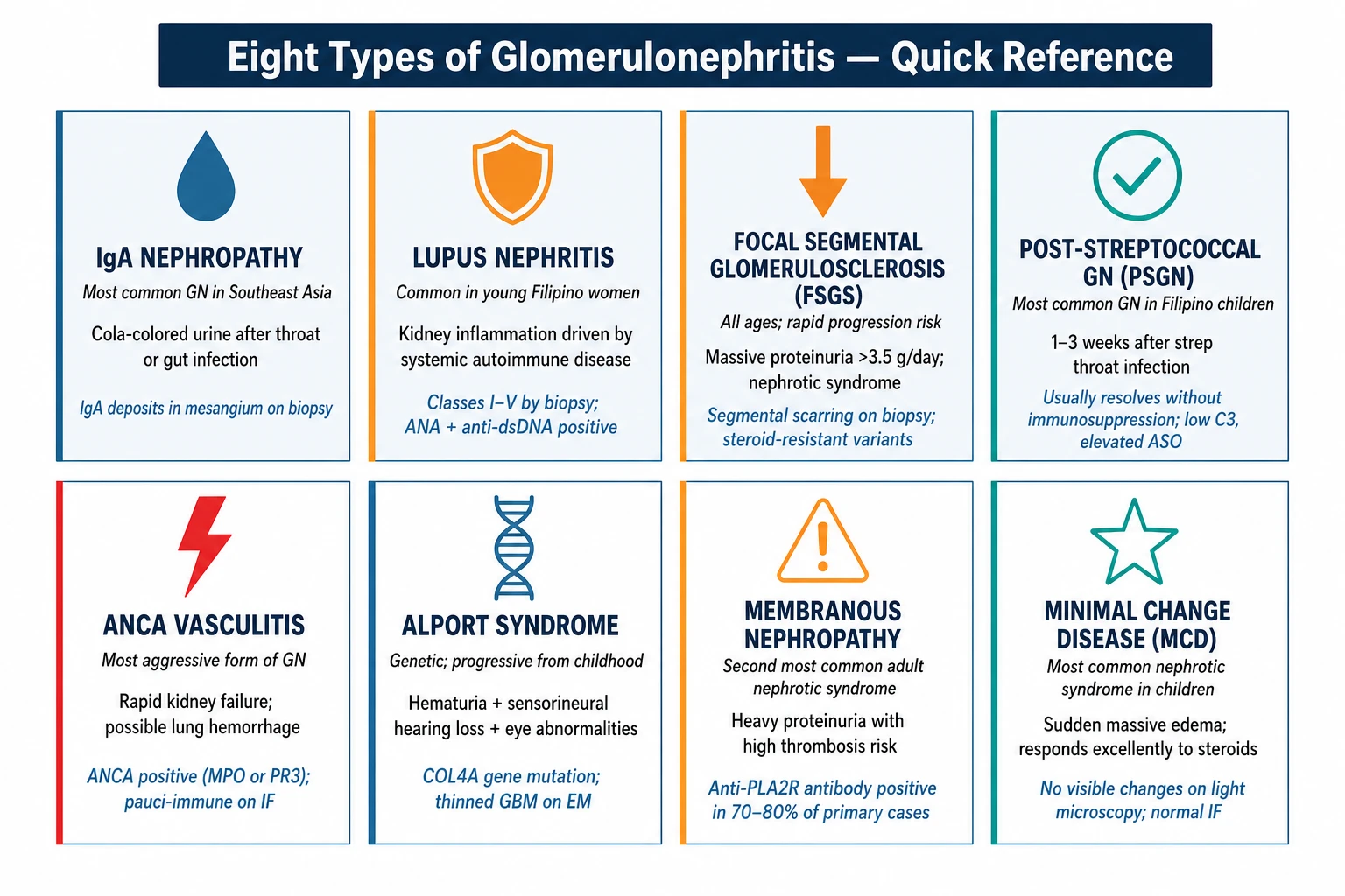 Eight types of glomerulonephritis at a glance — IgA nephropathy, lupus nephritis, FSGS, post-streptococcal GN, ANCA vasculitis, Alport syndrome, membranous nephropathy, and minimal change disease with key features and distinguishing clues