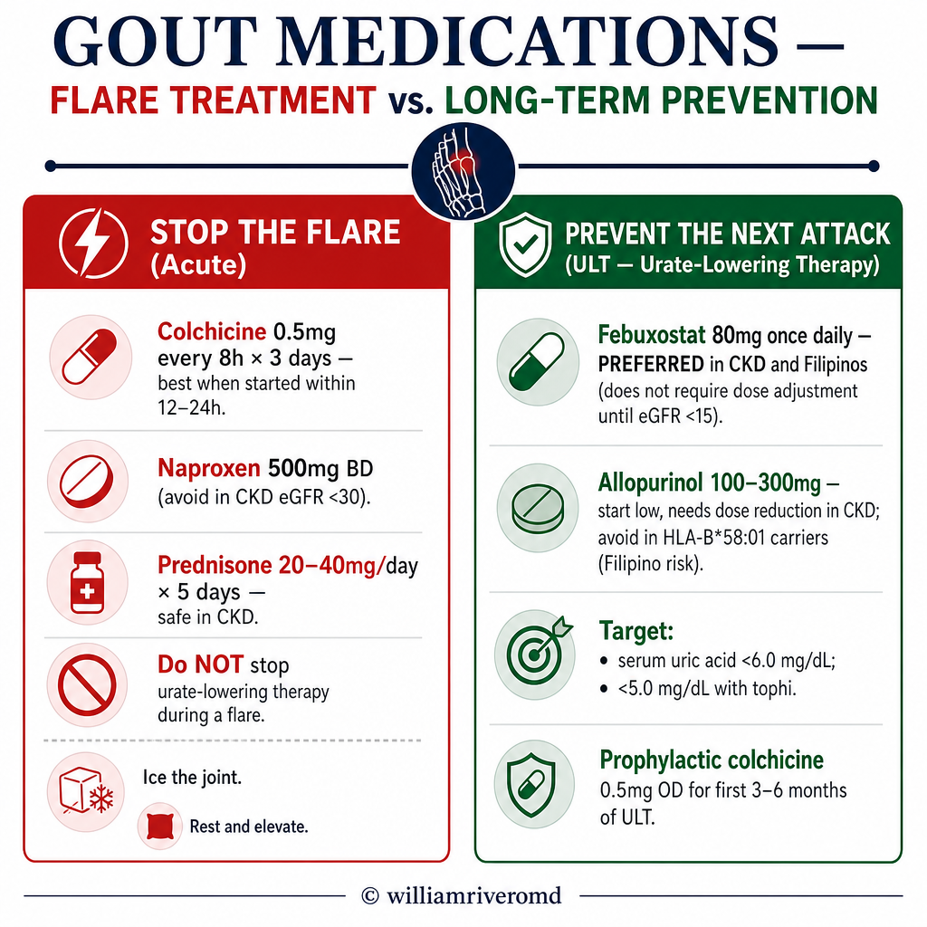 Gout medications: flare treatment (colchicine, NSAIDs, prednisone) vs long-term prevention with febuxostat or allopurinol — CKD considerations
