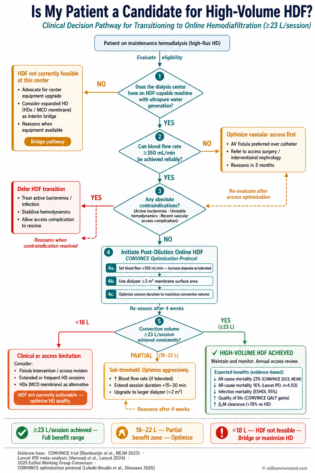 Patient selection algorithm for hemodiafiltration: vascular access, blood flow, center capability, convection volume target