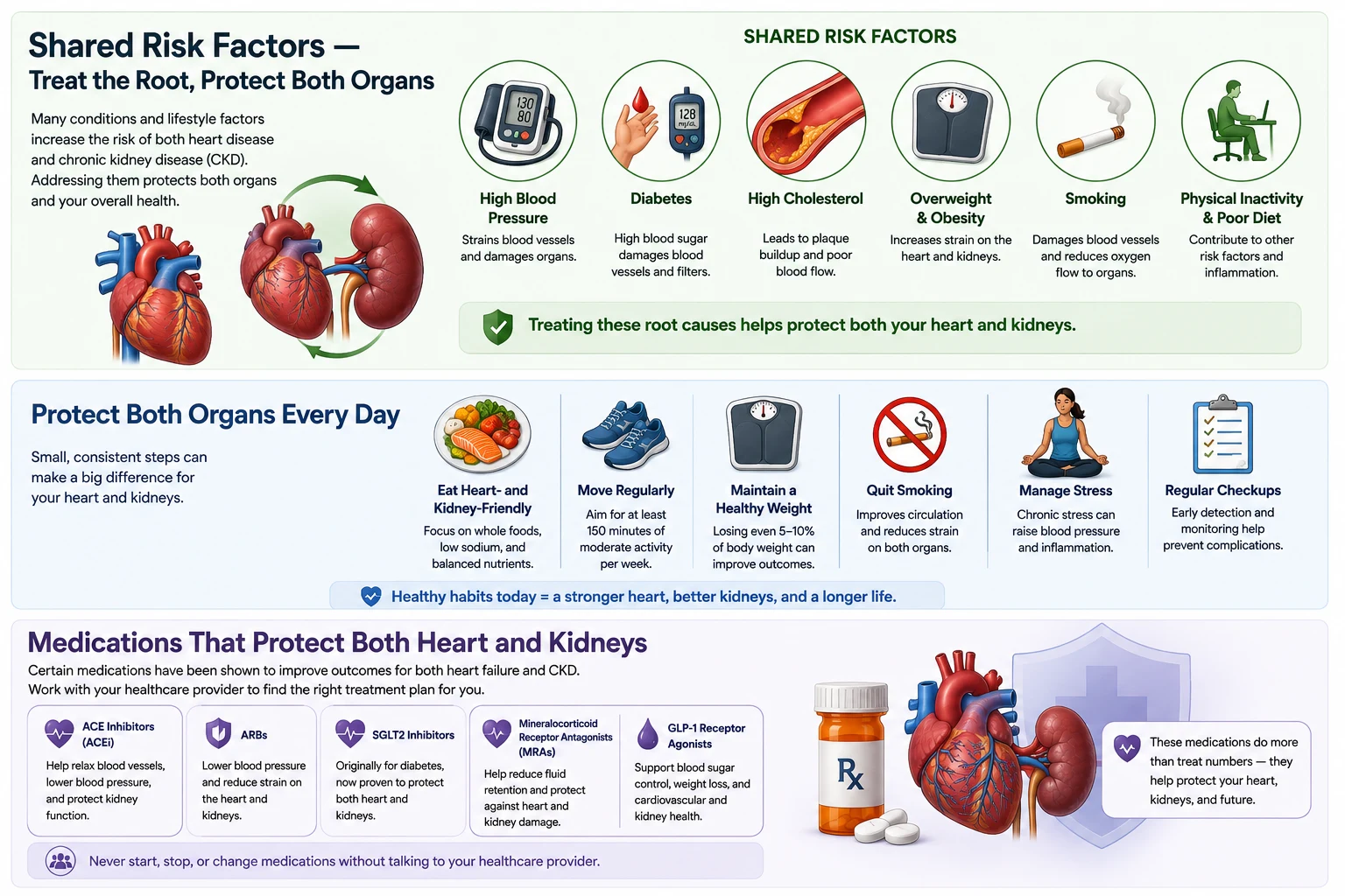 Shared Risk Factors and Daily Protection for Heart and Kidneys: six shared risk factors (hypertension, diabetes, high cholesterol, overweight, smoking, physical inactivity), six daily protective habits (heart-and-kidney-friendly eating, regular movement, healthy weight, smoking cessation, stress management, regular checkups), and five medication classes that protect both organs (ACE inhibitors, ARBs, SGLT2 inhibitors, mineralocorticoid receptor antagonists, GLP-1 receptor agonists)