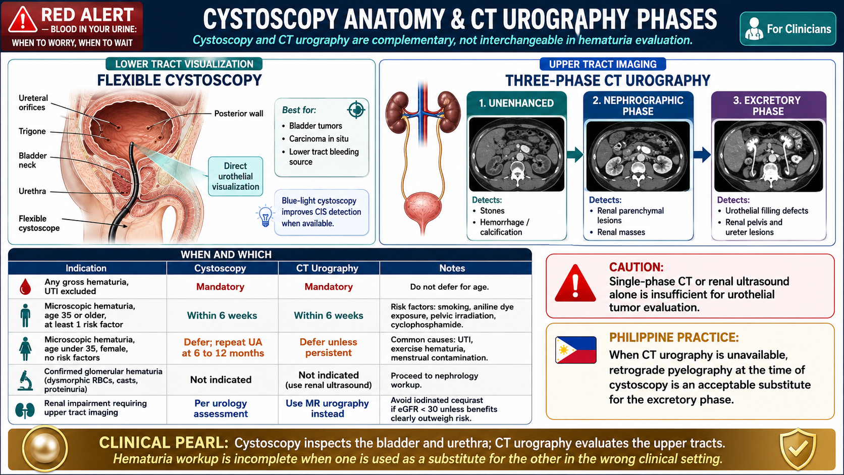 Cystoscopy anatomy and CT urography phases — flexible cystoscopy for lower tract visualization, three-phase CT urography (unenhanced, nephrographic, excretory) for upper tract; when and which indications table · williamriveromd.com