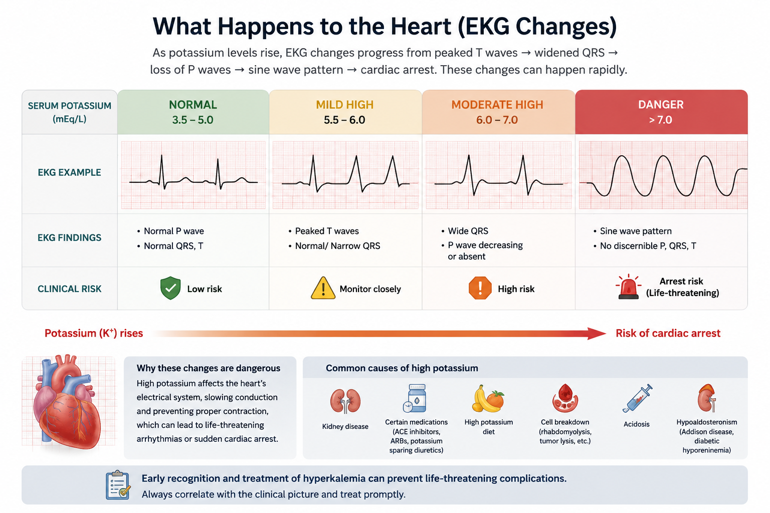 EKG Changes with Rising Potassium — Normal through Danger levels showing peaked T waves, widened QRS, sine wave pattern and arrest risk
