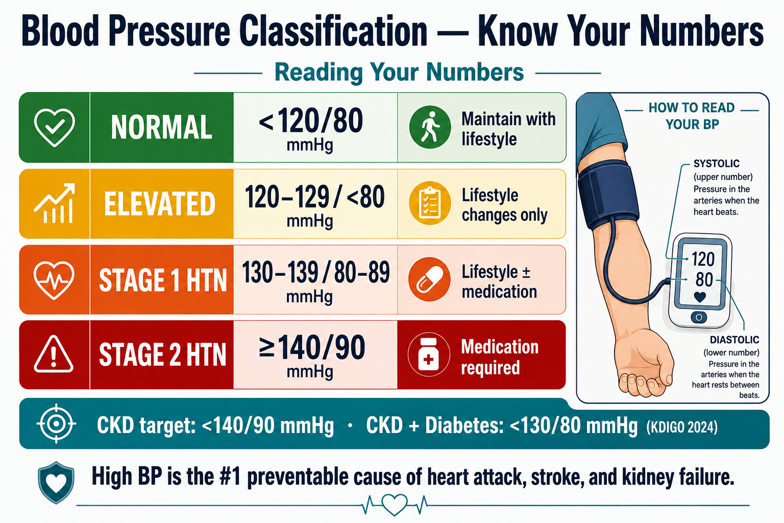 Blood pressure classification infographic: Normal below 120/80, Elevated 120–129, Stage 1 HTN 130–139/80–89, Stage 2 HTN 140/90 or above. CKD target less than 140/90 mmHg; CKD + Diabetes target less than 130/80 mmHg (KDIGO 2024).