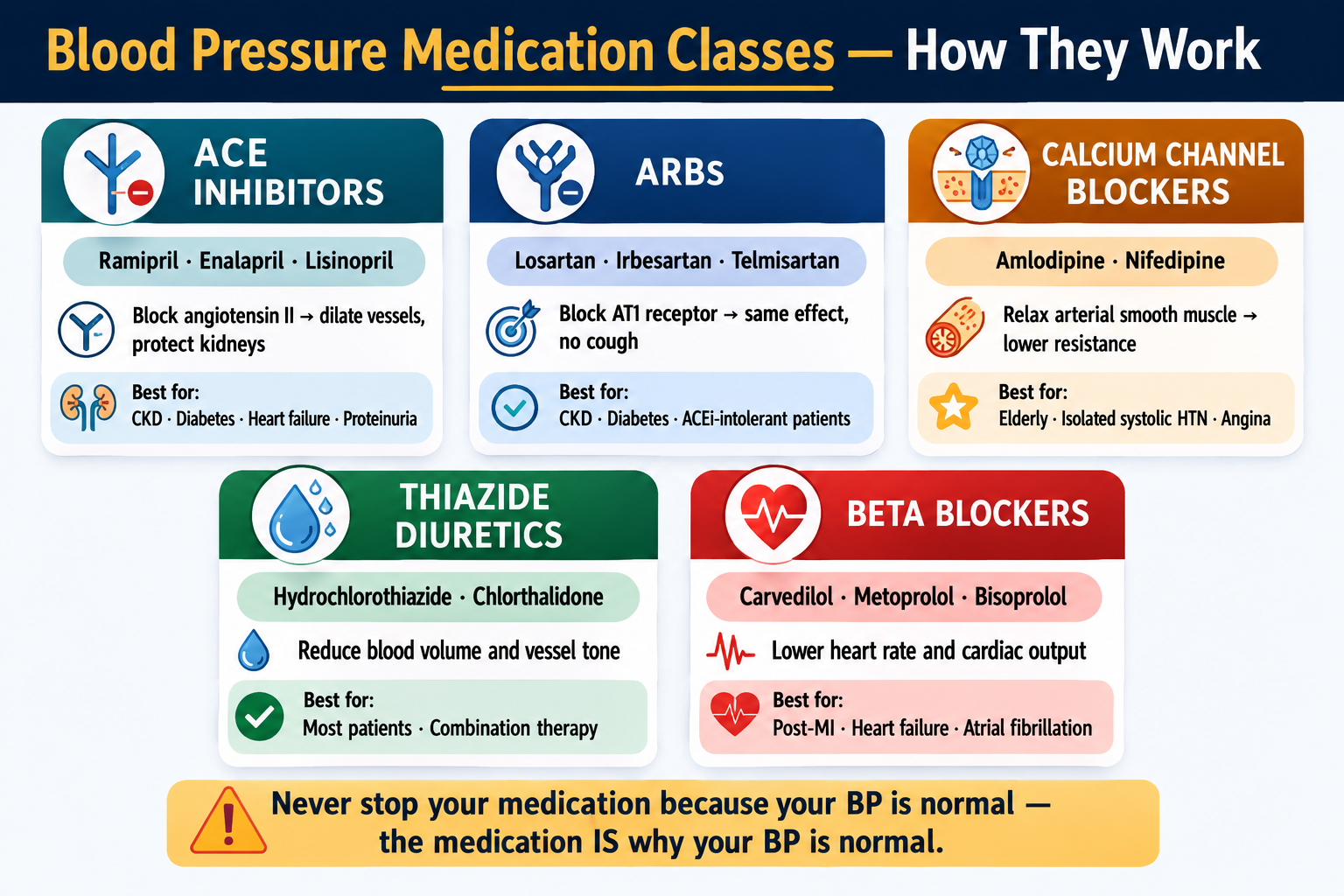 Blood pressure medication classes infographic: ACE inhibitors (Ramipril, Enalapril, Lisinopril), ARBs (Losartan, Irbesartan, Telmisartan), Calcium channel blockers (Amlodipine), Thiazide diuretics (Hydrochlorothiazide), Beta blockers (Carvedilol, Metoprolol). Warning: never stop medication because BP is normal.