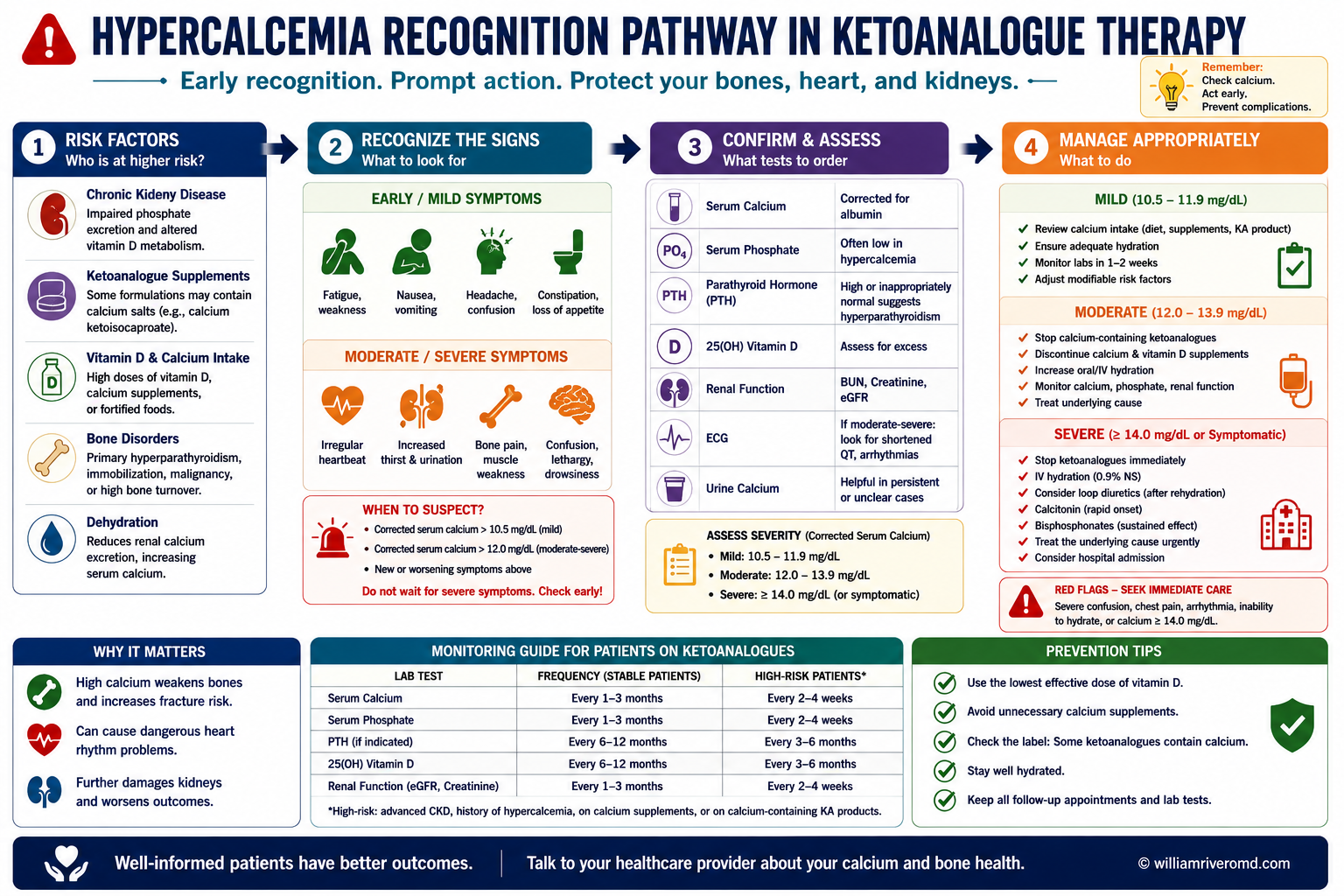 Hypercalcemia recognition and response pathway for ketoanalogue users — flowchart showing symptom triggers, serum calcium thresholds, and management steps including when to withhold KA and seek urgent nephrology care