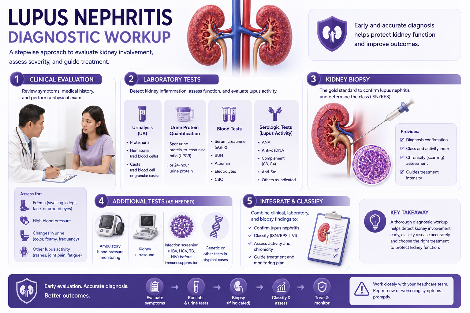 Lupus nephritis diagnostic workup flowchart: urinalysis, UACR, anti-dsDNA, complement levels, and biopsy decision pathway