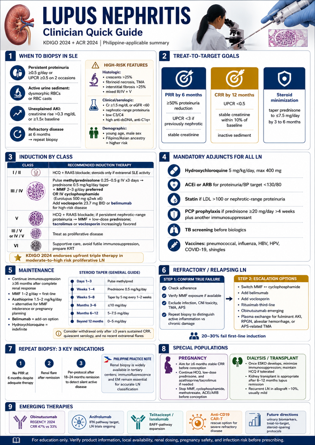 Lupus Nephritis Clinician Quick Guide — when to biopsy in SLE, treat-to-target goals (PRR by 6 months, CRR by 12 months, steroid minimization), induction by ISN/RPS class, mandatory adjuncts (HCQ, ACEi/ARB, statin, PCP prophylaxis, TB screening, vaccines), maintenance and steroid taper, refractory/relapsing escalation, repeat biopsy indications, special populations (pregnancy, dialysis, transplant), and emerging therapies (obinutuzumab, anifrolumab, telitacicept, anti-CD19 CAR-T)