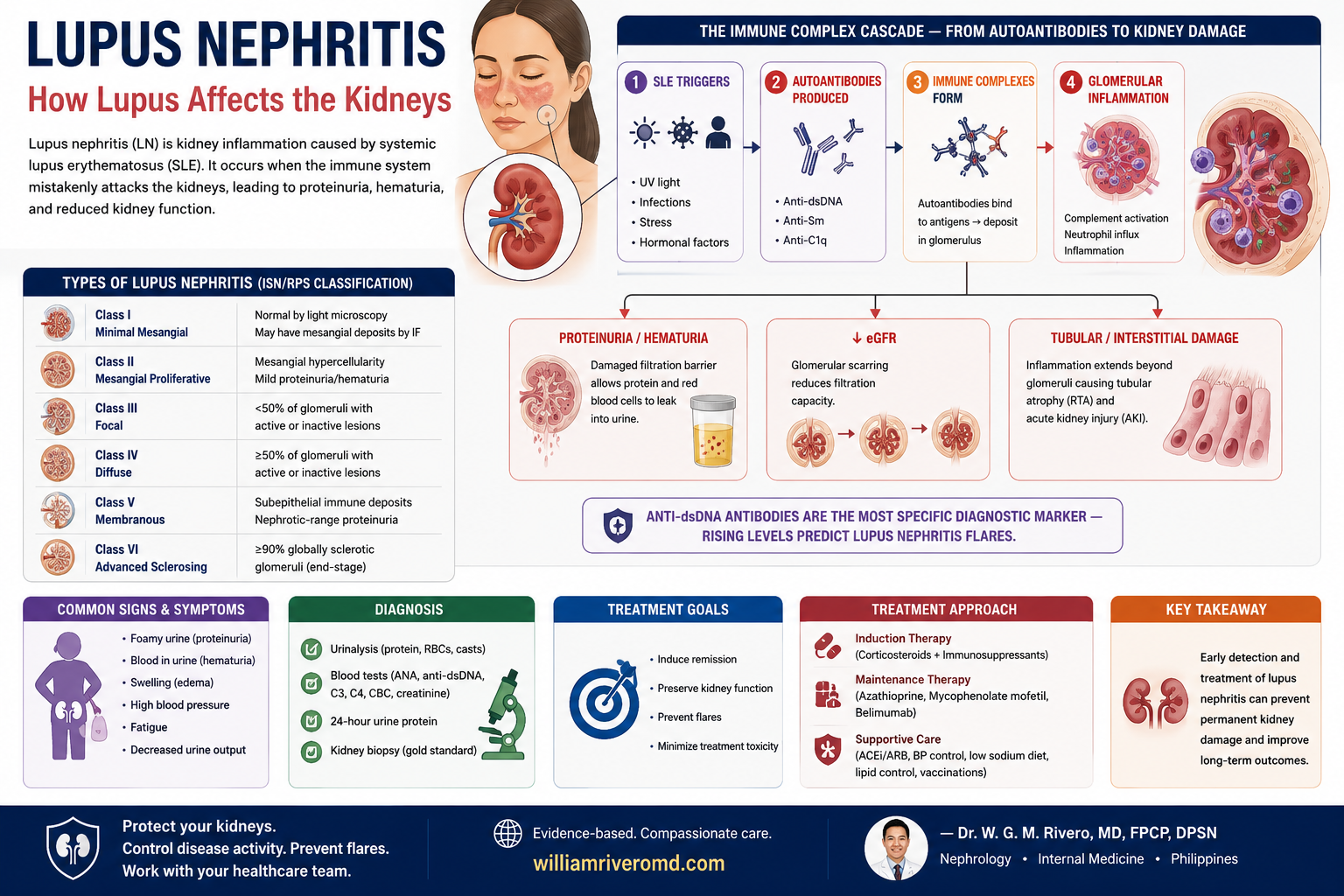 Lupus Nephritis: How Lupus Affects the Kidneys — immune complex cascade from autoantibodies (anti-dsDNA, anti-Sm, anti-C1q) to glomerular inflammation, ISN/RPS Class I–VI table, signs and symptoms, diagnostic tests, treatment goals (induction, maintenance, supportive care), and key takeaway