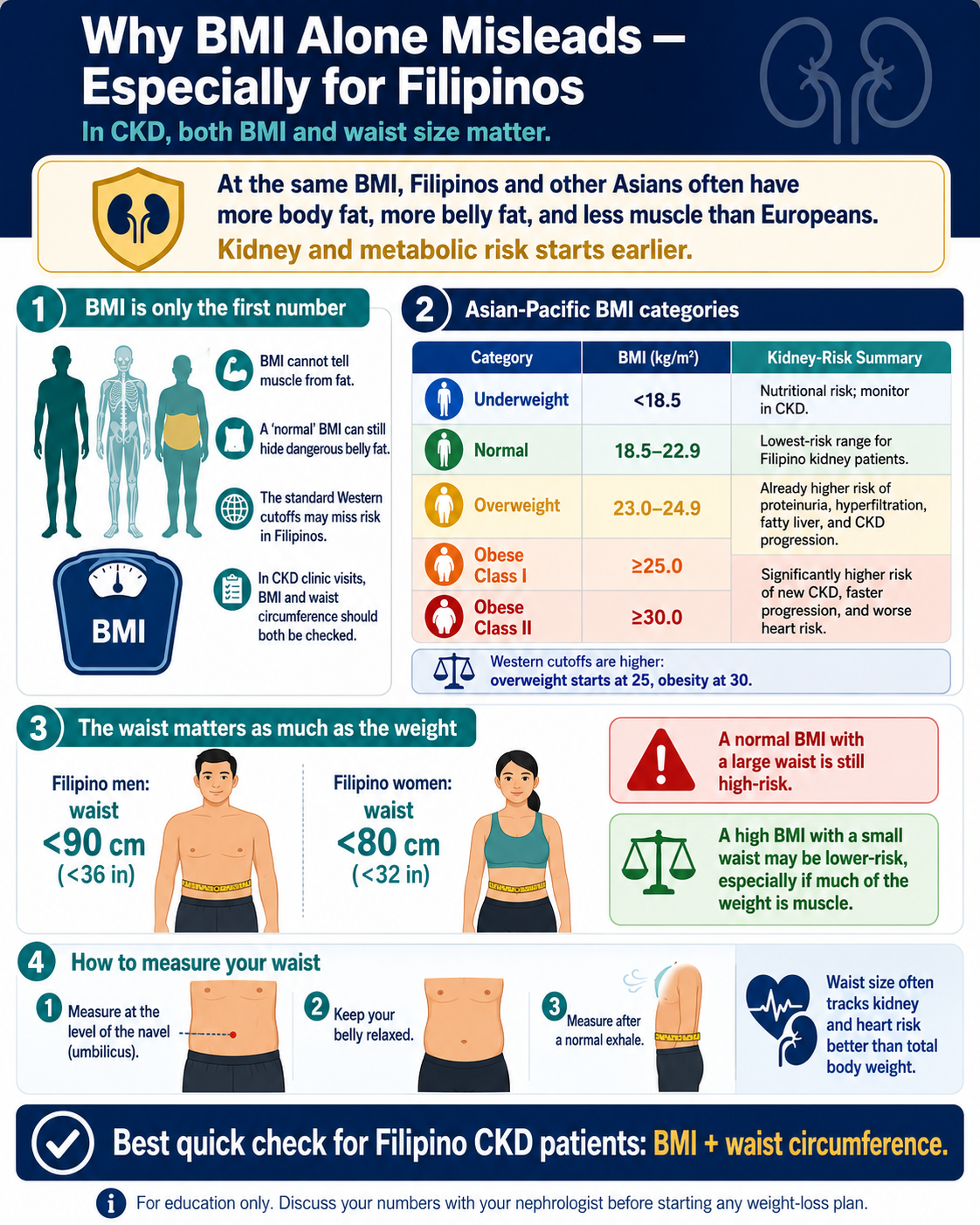 Why BMI Alone Misleads — Especially for Filipinos. At the same BMI, Filipinos and other Asians often have more body fat, more belly fat, and less muscle than Europeans. Asian-Pacific BMI categories table (overweight 23-24.9, obese class I 25.0-29.9, obese class II 30+) with kidney-risk summary. Filipino men waist <90 cm, women <80 cm. Best quick check: BMI + waist circumference.