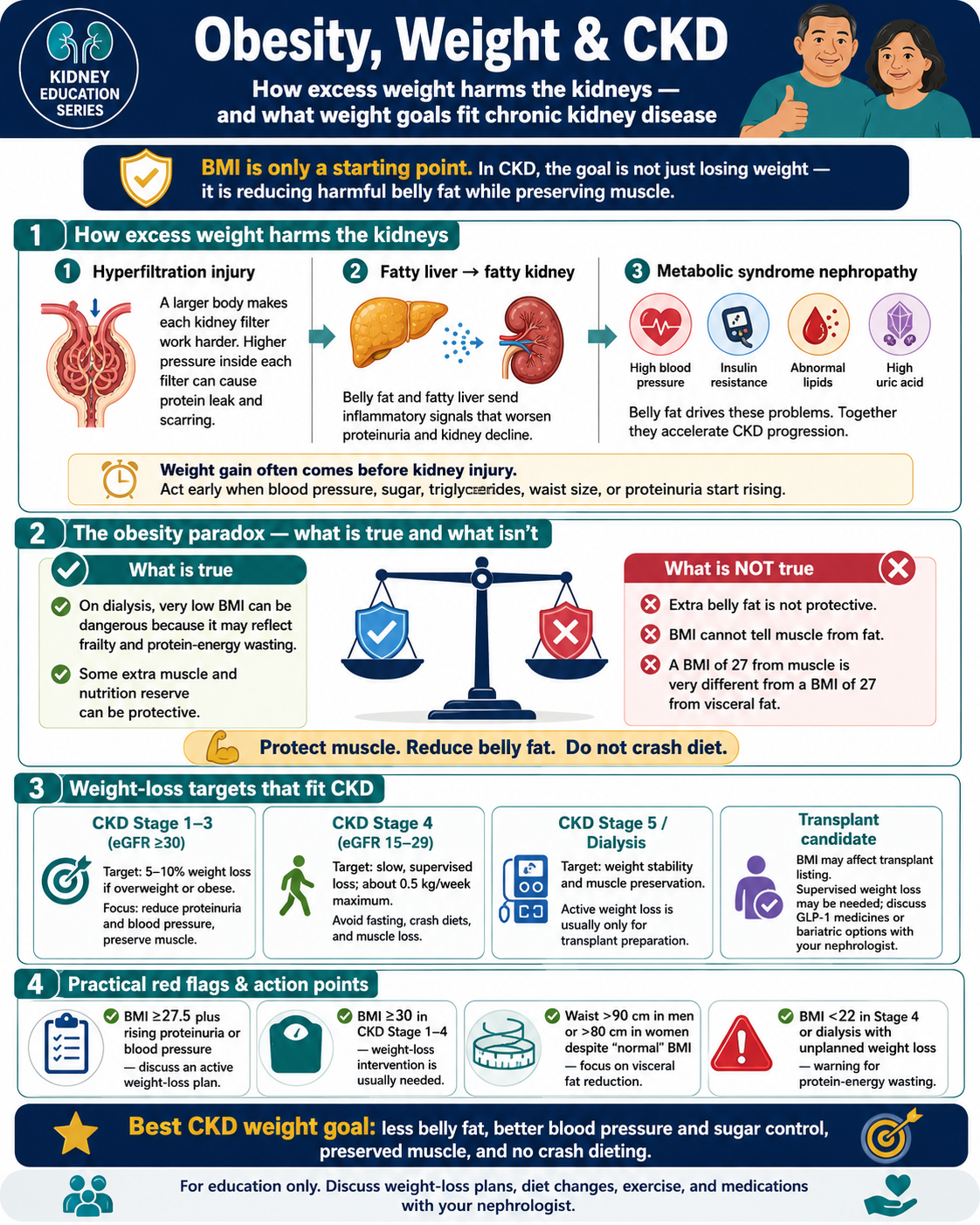 Obesity, Weight & CKD — How excess weight harms the kidneys (hyperfiltration injury, fatty liver to fatty kidney, metabolic syndrome nephropathy with high BP, insulin resistance, abnormal lipids, high uric acid). The obesity paradox honestly explained: extra muscle and reserve are protective, extra belly fat is not. Weight-loss targets by CKD stage (1-3, 4, 5/dialysis, transplant candidate). Practical red flags and action points.