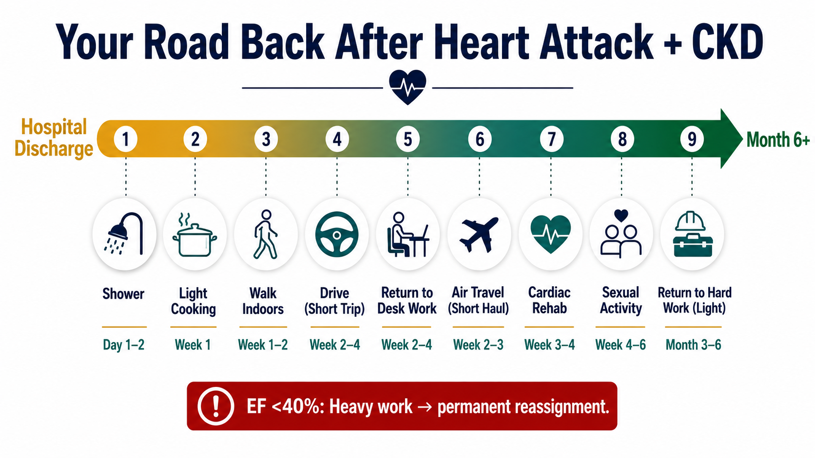 Your Road Back After Heart Attack + CKD — horizontal activity timeline infographic showing 9 milestones from hospital discharge through Month 6