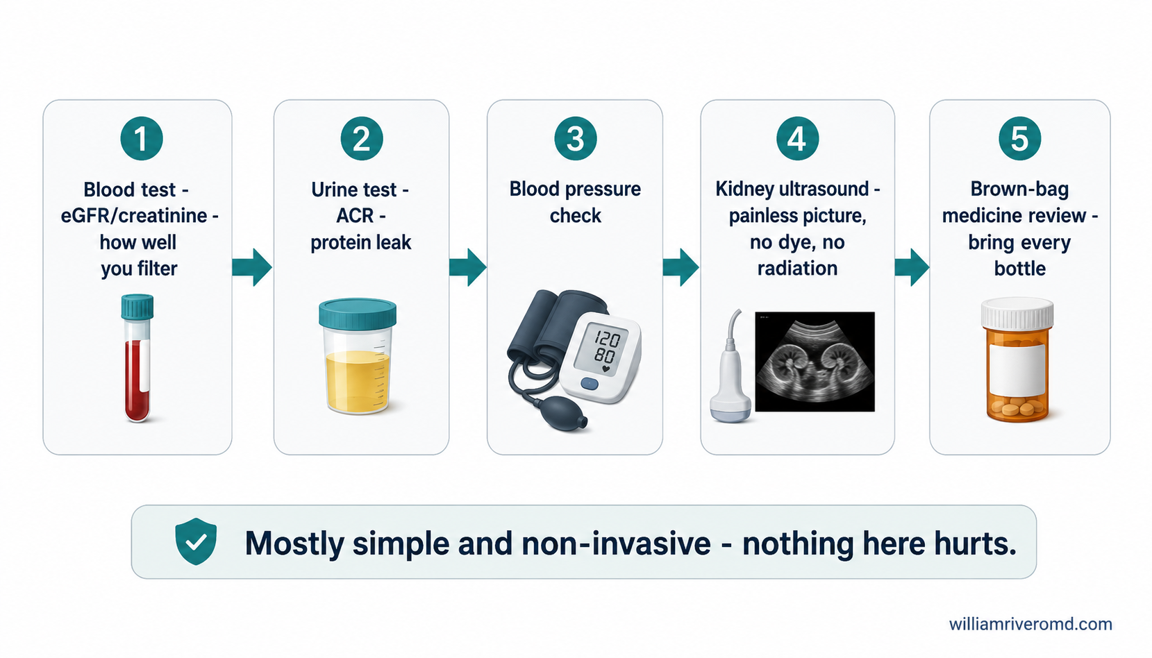 A five-step left-to-right flow: blood test for eGFR and creatinine, urine test for ACR, blood pressure check, grayscale kidney ultrasound, and a brown-bag medicine review, with a reassurance banner that nothing here hurts