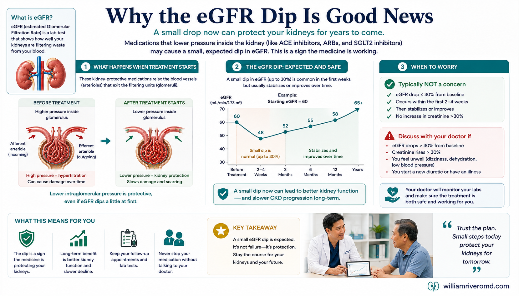 Line graph showing eGFR trajectory with and without kidney-protective medicine, illustrating that the early dip leads to a much flatter long-term decline