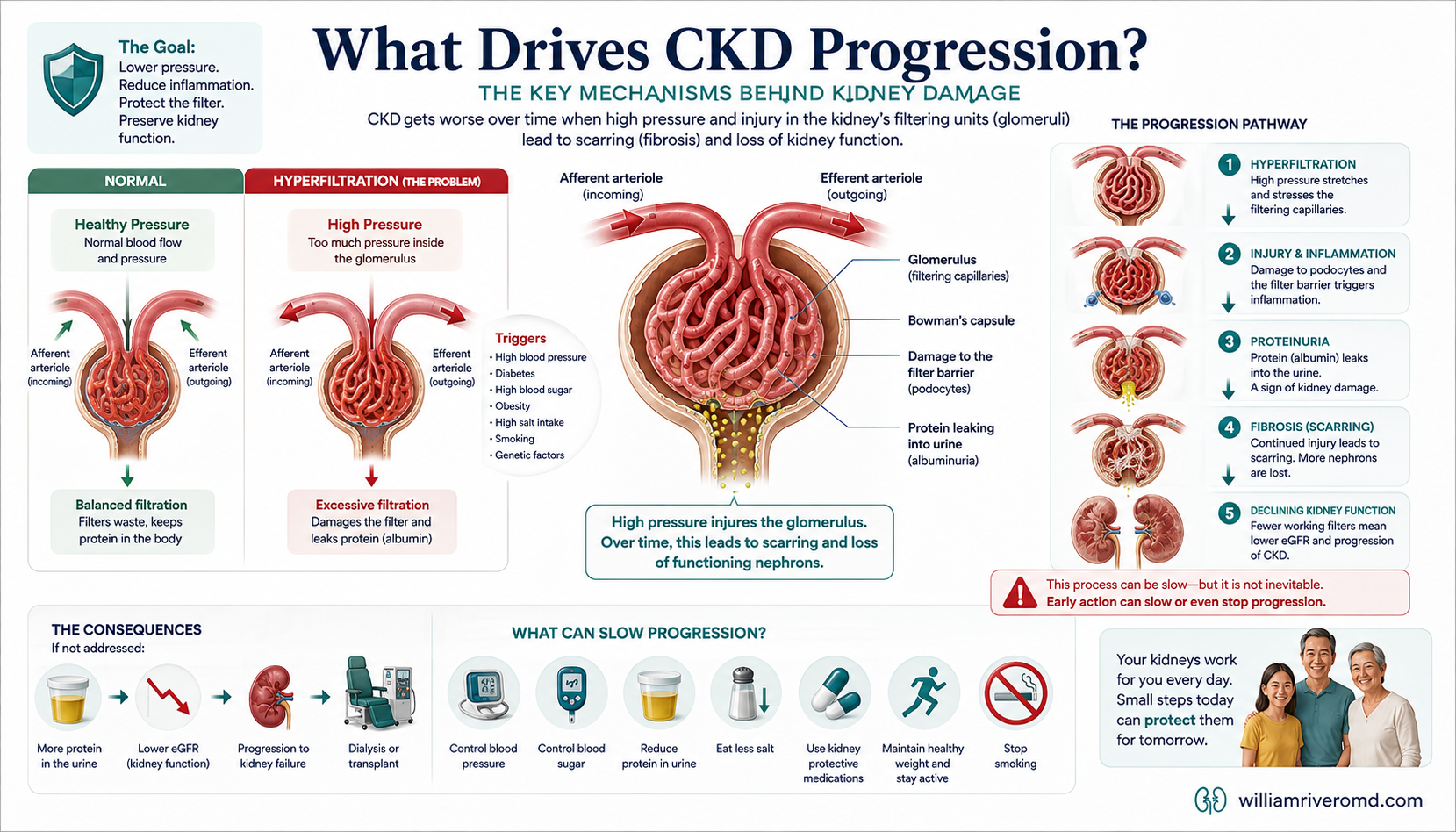 Diagram of the three drivers of CKD progression: intraglomerular pressure, protein leak, and inflammation and fibrosis, with the hyperfiltration cycle