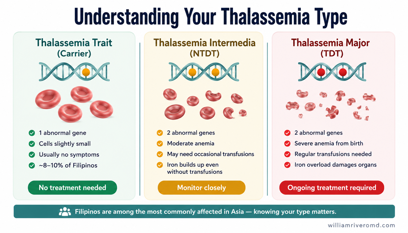 Three-panel infographic comparing thalassemia trait, intermedia, and major — blood cell appearance, symptoms, and treatment needs