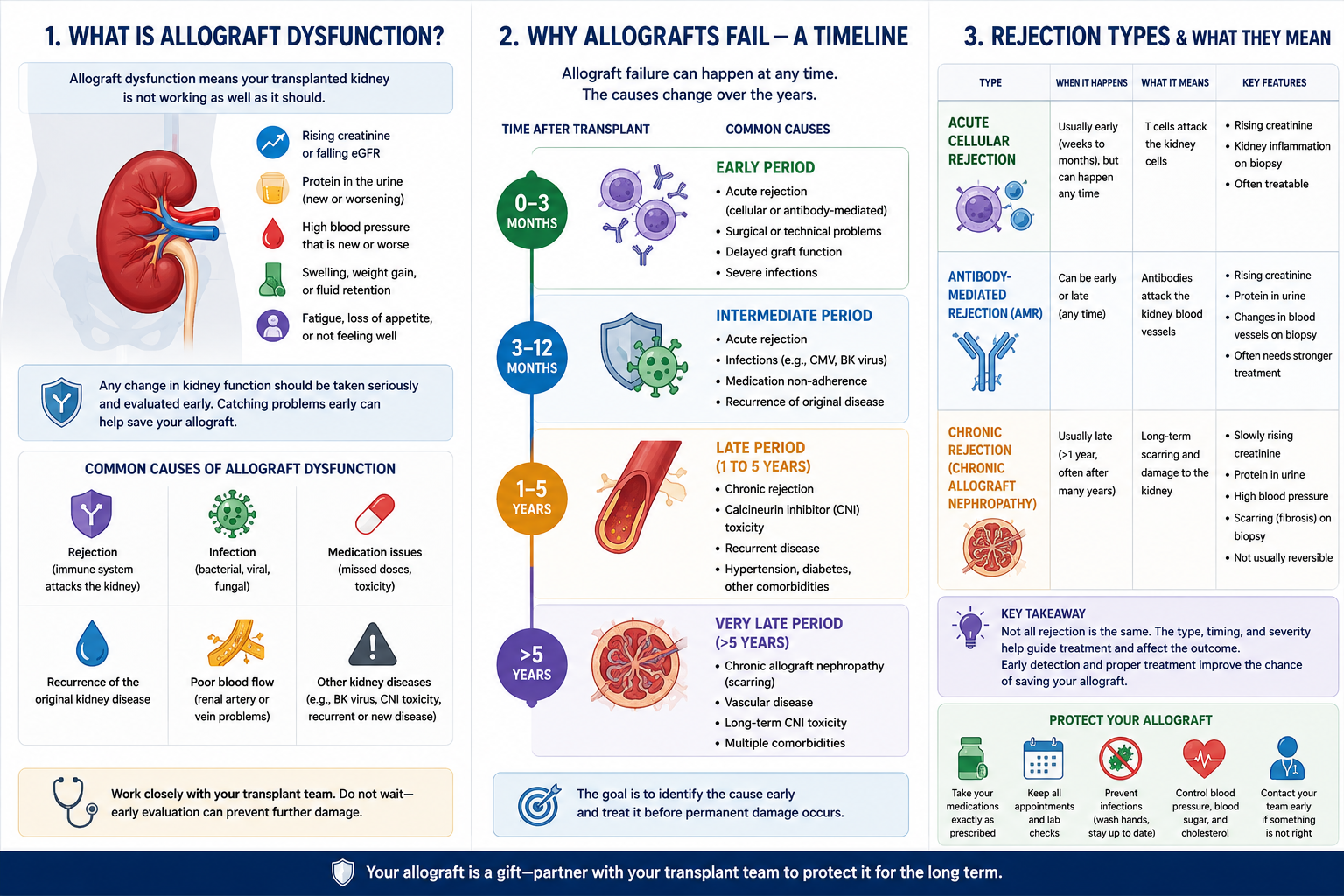 Allograft dysfunction signs, timeline of why allografts fail, and rejection types explained