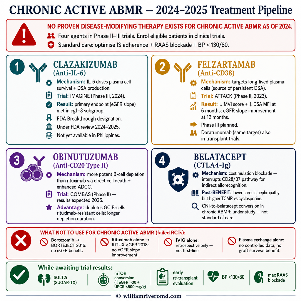 Chronic Active ABMR Management — antibody-mediated rejection treatment strategies