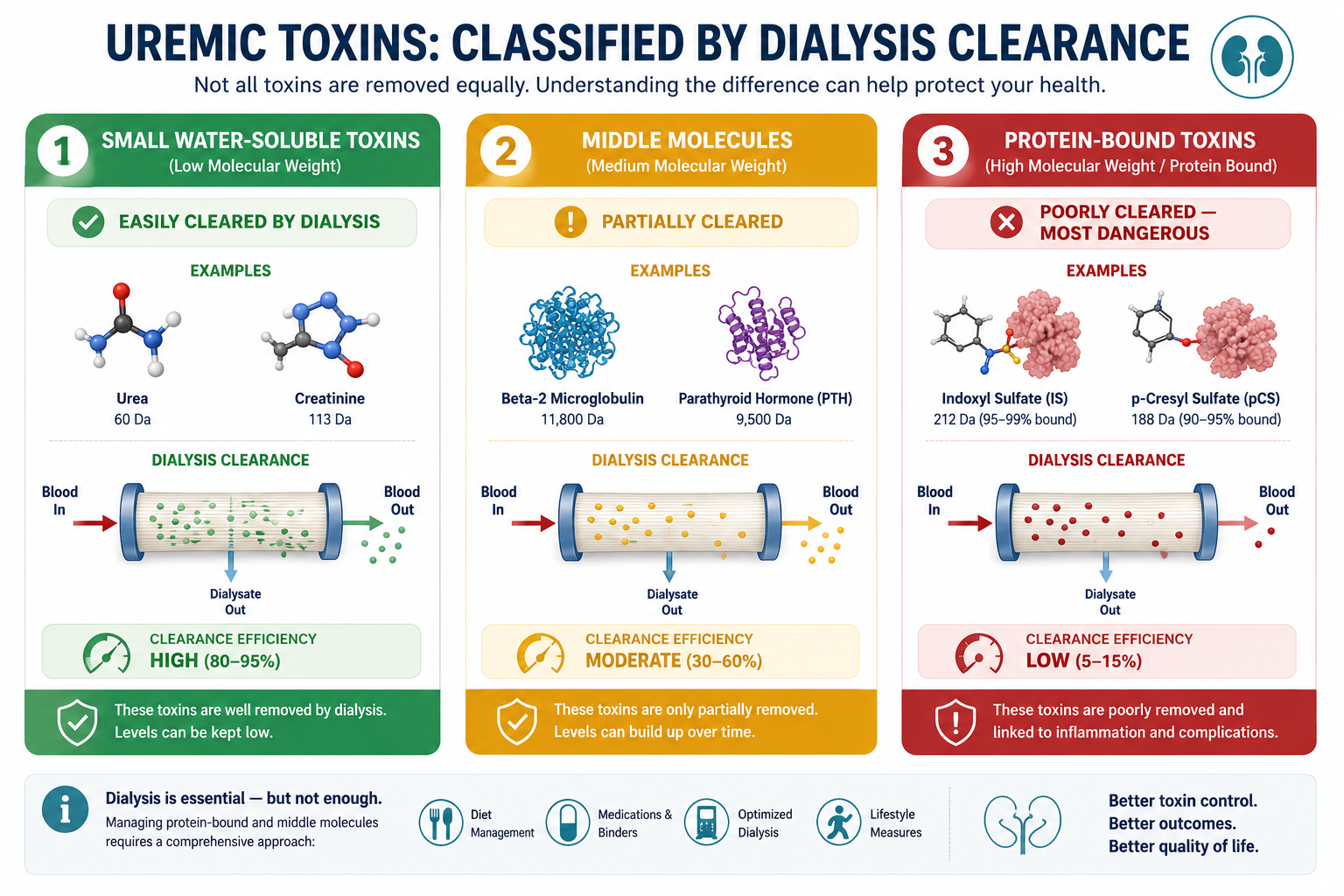 Uremic toxins classified by dialysis clearance — three-column infographic showing small water-soluble toxins easily cleared by dialysis, middle molecules partially cleared, and protein-bound toxins poorly cleared and most dangerous