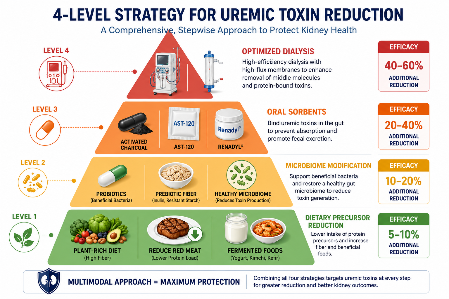 4-level strategy for uremic toxin reduction — pyramid infographic showing Level 1 dietary precursor reduction, Level 2 microbiome modification with probiotics and fiber, Level 3 oral sorbents, and Level 4 optimized dialysis with high-flux membranes