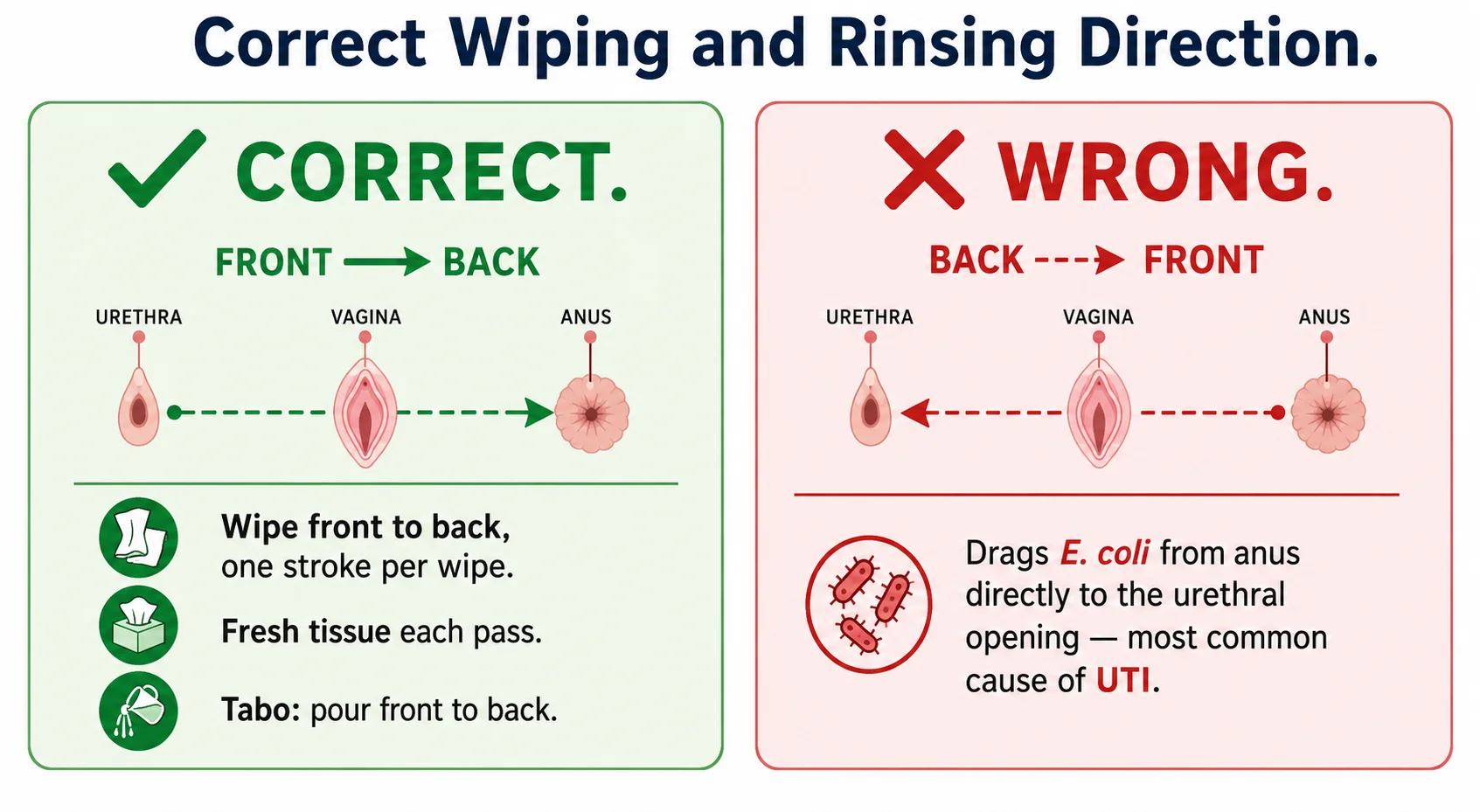 Correct wiping direction: front to back (correct ✓) vs back to front (wrong ✗) — tabo guidance included